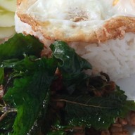 (ปิดปรับปรุง)🌟ร้านมื้อพิเศษ@อาหารตามสั่ง ูภูริ
