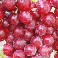 ผลไม้สด ดอง ฟ้าใส