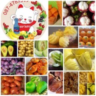 แมวแดง ผลไม้สด ลำลูกกาคลองสี่