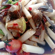 น้องครีมอีสานแซบ