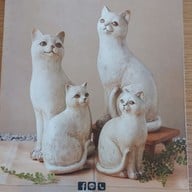 เมนู Granny cafe ศรีวารี