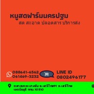 BTหมูเกรดAหมูคุณภาพ