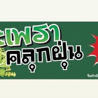 กะเพราคลุกฝุ่น