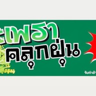 กะเพราคลุกฝุ่น