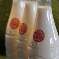Yongyee Freshmilk ไนท์บราซ่าบุรีรัมย์