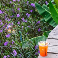 Tonyang cafe