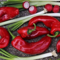 aAntMod (เผ็ดปากบึน) ในคูเมือง (ซอย3) ถนนสิงหราช