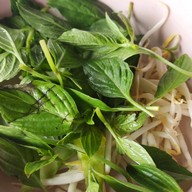 เมนูของร้าน ก๋วยเตี๋ยว ไก่มะระ ตองอู ก๋วยเตี๋ยว ไก่มะระ สะแกงาม