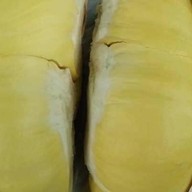 เจ๊แต๋ม ทุเรียนคัดพิเศษเกรดพรีเมียม นวนคร