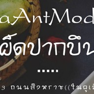 aAntMod (เผ็ดปากบึน) ในคูเมือง (ซอย3) ถนนสิงหราช