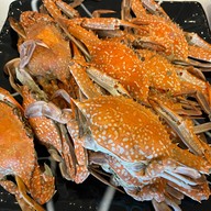 เมนูของร้าน ห้องอาหารคาซาบลังก้า