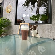 242 Coffee & Garden