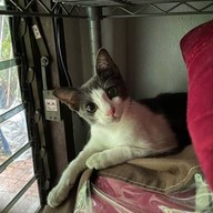 The Walkers Cafe and Space