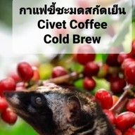 PAUL CAFE ดีญ่าวาเล่ย์ สารภี