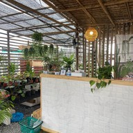 ผัดไทยในสวน