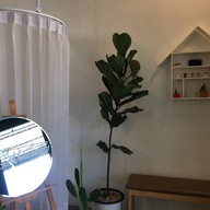 GOODMOOD cafe' ถ.ศรีจันทร์