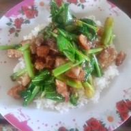 เมนูของร้าน อาหารตามสั่ง&ก๋วยเตี๋ยวป้าโกบ้านน้ำดิบ