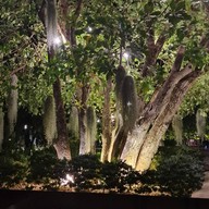 The Velo's Hotel and Pumptrack