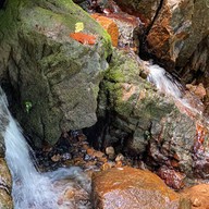 น้ำตกโตนไทร