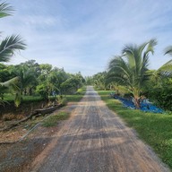 แพกิ่งกาญจน์ ฟิชชิ่ง & โฮมสเตย์