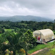 แมคเลย แมคเลย แมคคาเดเมีย