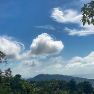 สวนคุณปู่•ป่าตอง-Grandpa's Garden at Patong