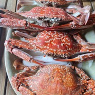 เมนูของร้าน Pulakorn Laisla Pranburi ปูละคอน ไพรเวท บีช รีสอร์ท