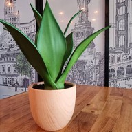 เตี๋ยวเลเกยตื้น