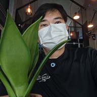 เตี๋ยวเลเกยตื้น