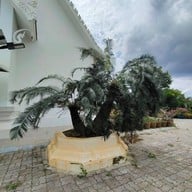 วัดถ้ำวัฒนมงคล