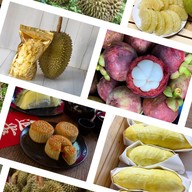 My Garden ทุเรียนและผลไม้คุณภาพ