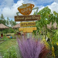 242 Coffee & Garden