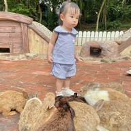 Rabbit Hole @ Phuket