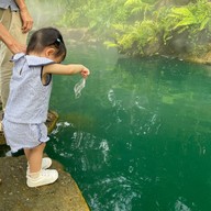 Rabbit Hole @ Phuket