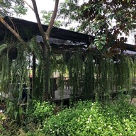 Chapulin Food & Cafe'