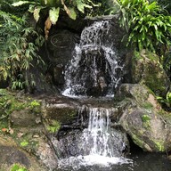 Chapulin Food & Cafe'