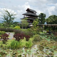 Chapulin Food & Cafe'