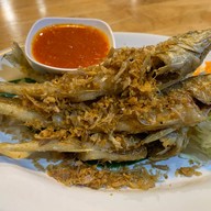 เมนูของร้าน ครัวสมุย Southern Fusion Cuisine