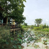 Chapulin Food & Cafe'