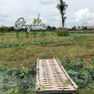 Chapulin Food & Cafe'