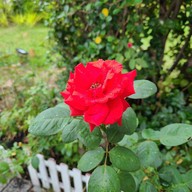 พรีม วิลเลจ (Preme Village)