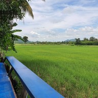 บรรยากาศ กาแฟกลางทุ่ง, นางแก้ว