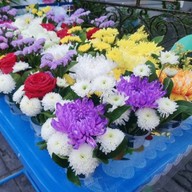 Max Florists ขายดอกไม้นวลจันทร์