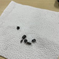 make me bread dessert and cafe