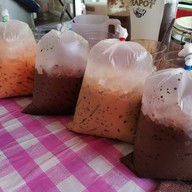 อุ๊ยไข่ ชา กาแฟ