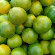 พี่เล็กผักบ้าน พี่เล็กกับข้าวตามสั่ง