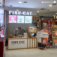 FIRE CAT - แมวพ่นไฟ โลตัส ปทุมธานี