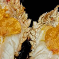 แอบกินกุ้ง