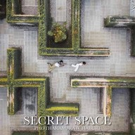 ดินแดนแห่งความลับsecret Space