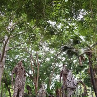 บรรยากาศ What A View